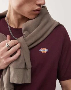 Dickies Mapleton Small Logo T-shirt In Maroon For Men -Dickies Sales Store 204435746 4