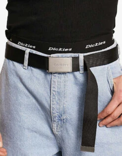 Dickies Brookston Belt In Black For Men -Dickies Sales Store 204477615 1 black 1