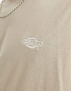 Dickies Summerdale Short Sleeve T-shirt In Sand For Men Sandstone -Dickies Sales Store 205955524 3