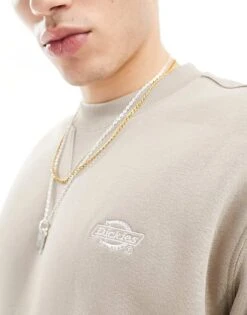 Dickies Summerdale Premium Oversized Sweatshirt In Sand - Exclusive To Asos For Unisex Sandstone -Dickies Sales Store 205956106 4