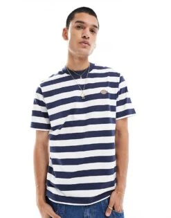 Dickies River Grove Striped T-shirt In Navy And White- Exclusive To Asos For Men