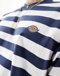 Dickies River Grove Striped T-shirt In Navy And White- Exclusive To Asos For Men -Dickies Sales Store 206605898 4