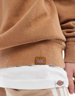 Dickies Newington Sweatshirt In Washed Brown For Unisex 8 Dickies Newington Sweatshirt In Washed Brown For Unisex -Dickies Sales Store 206606576 2