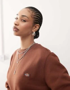 Dickies Oakport Small Logo Sweatshirt In Cappuccino Brown For Unisex -Dickies Sales Store 207972966 3