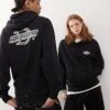 Dickies Wood Logo Back Print Hoodie In Black For Unisex -Dickies Sales Store 208017106 1 black